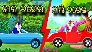 Nila Chadhei Nali Chadhei \\ Odia Stories \\ Odia Gapa \\ New Odia Story \\ Chadhei Gapa \\ Kahani