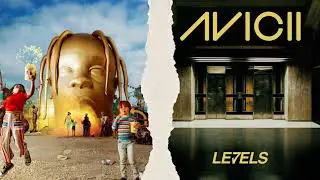 Butterfly Effect x Levels | Travis Scott x Avicii | Mashup | MAD DEN