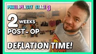 FTM Phallo | Stage 3 - 2 Weeks Post-Op