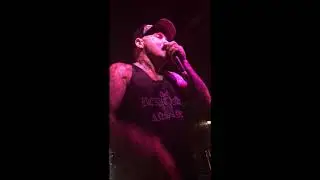 Crazytownx   Butterfly