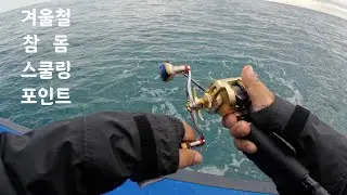 겨울철 저수온기 시작~ 참돔 스쿨링 포인트를 찾아라! #여서도 #타이라바 #참돔 #tairubber #redseabream #완도 파랑새호