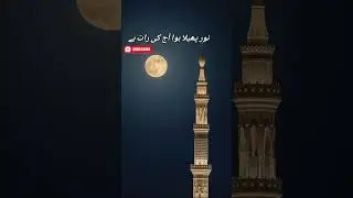 Noor Pehla Hua Ajj Ki Raat Ha || نور پھلا ہوا اج کی رات ہے