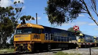 Freight Train (7MP5)