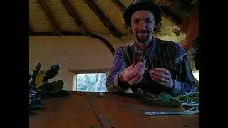 Tallest Smallest Theatre - nature storytelling & crafts