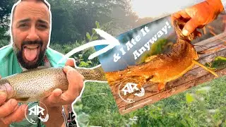 Cold Smoking Fish Experiment: 8-Months Later