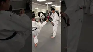 -Taekwondo Pad Kicking #shorts