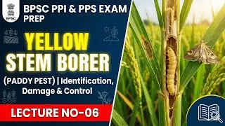 BPSC PPI & PPS Exam Prep | Yellow Stem Borer (YSB) of Paddy | Identification, Damage & Control