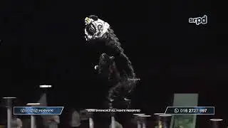 【Final】Hong Kong Team A 香港潤福堂 🔥2026【香港夜光龙醒狮锦标赛】World Hong Kong Lion Dance Championship