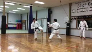 Reverse Roundhouse Kick to Spin Back Kick.
