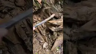 Bedrock Gold #goldprospecting #bedrockminecraft #goldnugget #goldpanning #goldrush #goldfever #oro