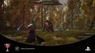Hogwarts Legacy 100 combo