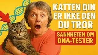 Katten din er ikke den du tror: Sannheten om DNA-tester. (Kastet du pengene ut av vinduet?)