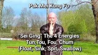 Pak Mei Kung Fu | 