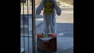 Easter Bunny Delivering Special Eggs to Mama&rsquo;s Minerals