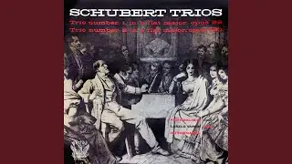 Piano Trio in E-Flat Major, Op. 100: I. Allegro
