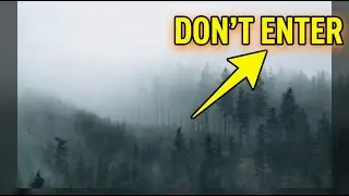 Mysterious Facts about Japan's 'Suicide Forest'...