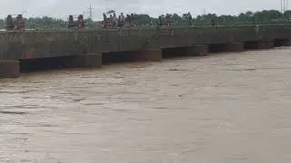 Water above lotus bridge