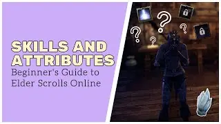 What the heck do I put skill points into?! // Beginner's Guide to ESO