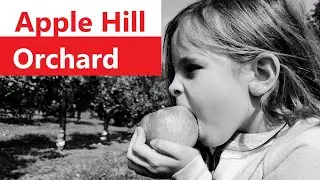 The Perfect Apples || Apple Hill Orchard  || Mansfield, Ohio