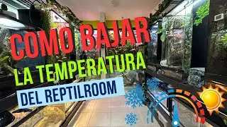 COM&Oacute; BAJAR LA TEMPERATURA EN EL CUARTO REPTILERO