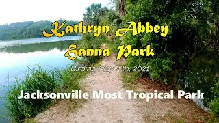 Birding in HANNA PARK most beautiful park in Jacksonville. It's breeding season in Hanna Park