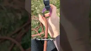 How do you clip? #rockclimbing #quickdraw
