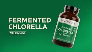 Dr. Mercola&reg; Fermented Chlorella With Chlorophyll