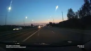 Лось  на пьяной дороге. Ярославль 2023-05-17