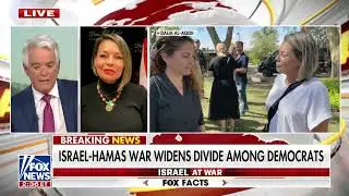 Ilhan Omar's opponent Dalia calls out 'Hamas Caucus' on Fox News  America Reports  on Nov  6, 2023
