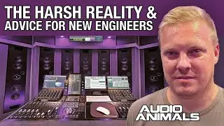 The Harsh Reality & Advice For New Engineers