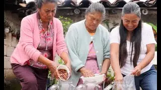 Local Solution in semi arid landscape - SGP Mexico