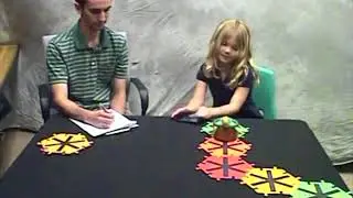 Programming Experience Promotes Higher STEM Motivation Among First Grade Girls