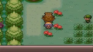 Pokemon Heart & Soul 1.2 Johto Part Two 