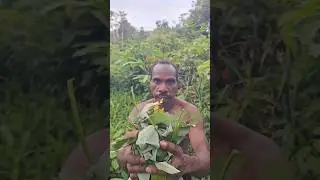 How do Mundari tribals treat every disease #shortvideo