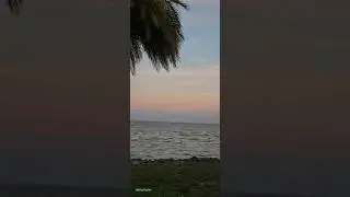 Crew-10 , Falcon 9 Launch!