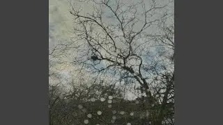 Test Pilot