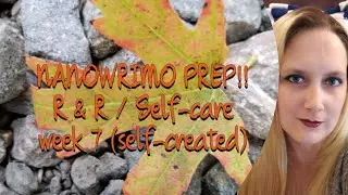 NanoPrep Self-Made Week 7 R&R