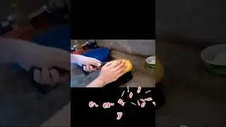 Minimal Processing Of a Fresh Fruits and vegetables