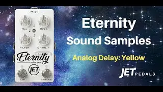 Eternity Delay - Analog Delay Sound Samples