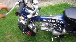 Honda Dax replica Daytona