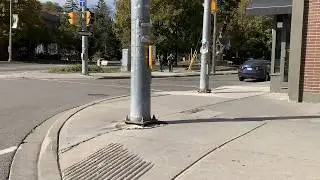 Driving past Guelph election campaign signs - Oct 2019