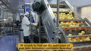 How to Control Pear Juice Browning? | Chase Machinery's Processing Solution