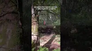 Похоже пора начинать пить😂 ТГ: GMMX TEAM