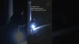 My cat being curious on my roof at night while 
