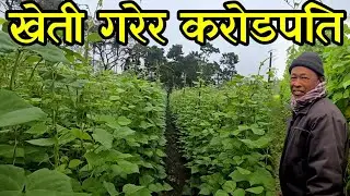 सब्जी खेती गरेर करिब चार करोडको सम्पती जोडेका 55 बर्से चन्द्र बहादुर तामाङ agriculturalfarming