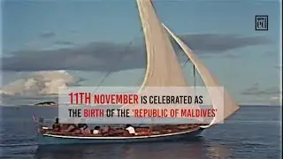 FOCUS: Remember, remember, the 11th of November