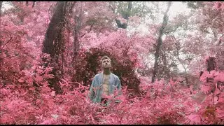 Blase Holiday - Dogwood/James Dean Music Video (DP WORK)