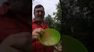 Dandilofts feeding to prepare for the season