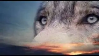 Within Temptation Somewhere (Wolves)