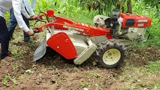 VST SHAKTI 130 DI POWER TILLER IN  FIELD DEMO #VST #SHAKTI #130DI #POWERTILLER